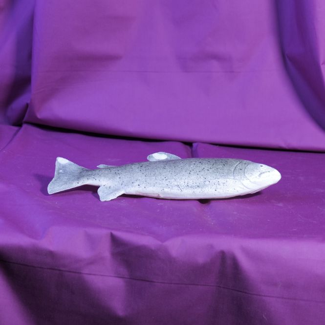 Hovedbilde Fisk i plast