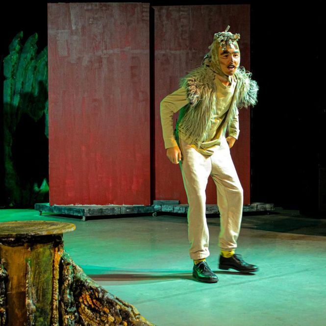 Hovedbilde Petter pinsvin